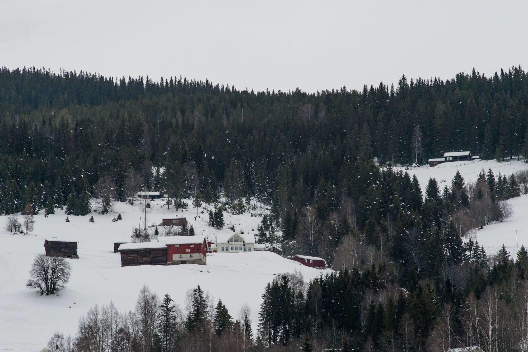 Hotel Eggedal Borgerstue Exterior foto